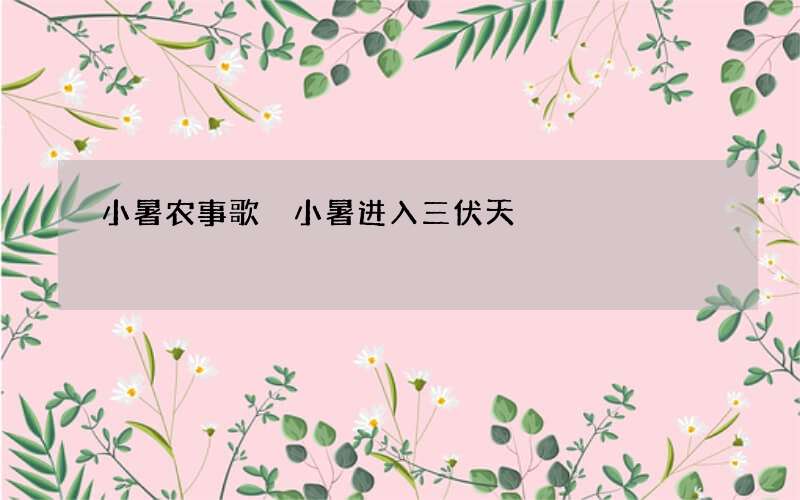 小暑农事歌 小暑进入三伏天